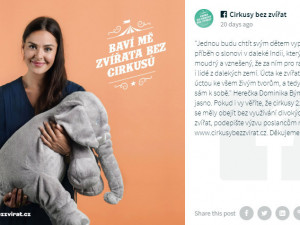 Divoká zvířata do šapitó nepatří, kampaň chce Cirkusy bez zvířat! Podporují ji i známé osobnosti