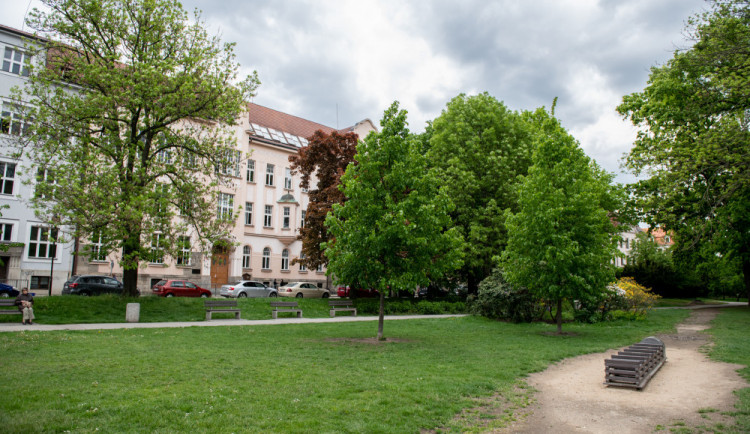 Budějce chtějí obnovit park u Dukelské ulice, stromy zůstanou