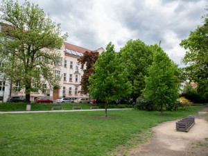 Budějce chtějí obnovit park u Dukelské ulice, stromy zůstanou