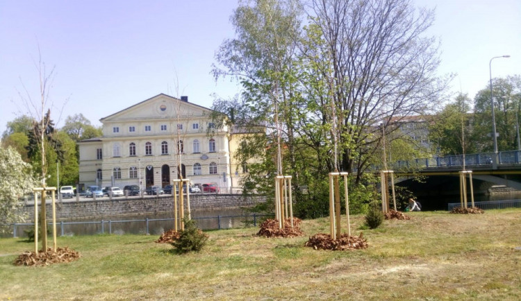 V Budějcích přibyly stromy a keře za 850 tisíc korun