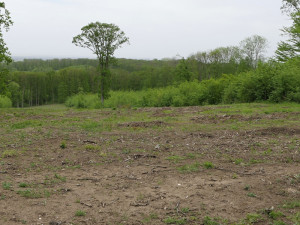 Frezovaná Paseka Foto: A. Florian