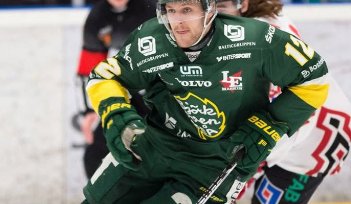 Do Motoru přichází švédský obránce Niklas Pavel.