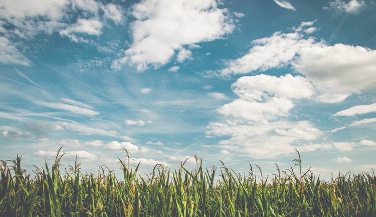 ilustrační fotografie