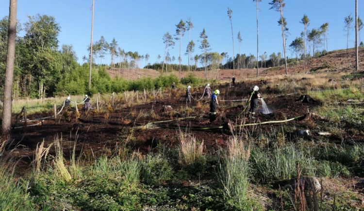 Na Jindřichohradecku hořela lesní školka.