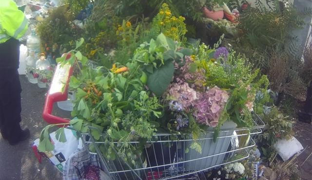 FOTO: Žena vezla nákupní košík napěchovaný květinami. Ukradla je na veřejných záhonech