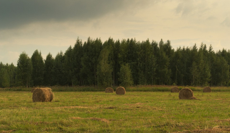 Srpen nevybočí z obvyklých hodnot ani teplotně, ani srážkami