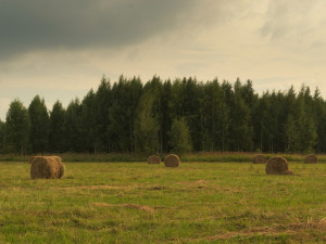 Srpen nevybočí z obvyklých hodnot ani teplotně, ani srážkami