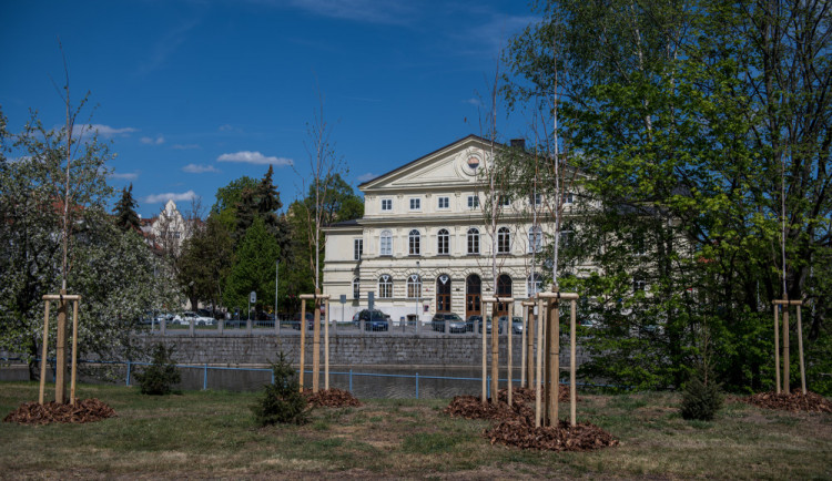 Údržba zeleně stála letos město přes 30 milionů korun.