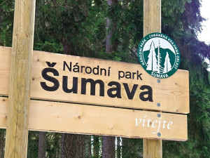 Jihočeský kraj podal žalobu na šumavský národní park a ministerstvo životního prostředí