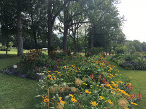 Krásná hornorakouskou výstavu Bio.Garten.Eden se vyplatí navštívit i víckrát. Květiny se obměňují dle sezóny