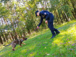 Stát se policistkou či policistou není jednoduché rozhodnutí, tato práce tě však zcela pohltí.