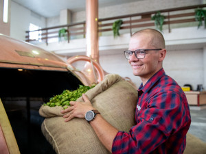 V Budvaru se vaří pivní specialita z čerstvého chmele, ten se v praxi používá výjimečně