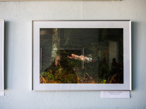 Průstřel žebra i oběšenec za ranního úsvitu, policie vystavuje fotky z místa činu