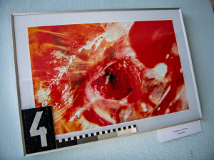 Průstřel žebra i oběšenec za ranního úsvitu, policie vystavuje fotky z místa činu