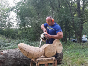 I v letošním roce probíhá před areálem Jihočeské zoologické zahrady v Hluboké nad Vltavou druhý ročník dřevosochařského sympozia pod názvem „Obři z trávy''.