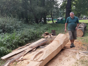 I v letošním roce probíhá před areálem Jihočeské zoologické zahrady v Hluboké nad Vltavou druhý ročník dřevosochařského sympozia pod názvem „Obři z trávy''.