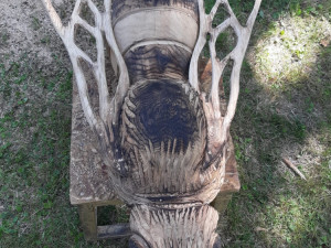 I v letošním roce probíhá před areálem Jihočeské zoologické zahrady v Hluboké nad Vltavou druhý ročník dřevosochařského sympozia pod názvem „Obři z trávy''.