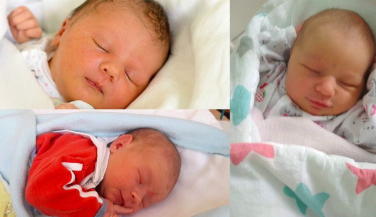 Červencová drbňátka