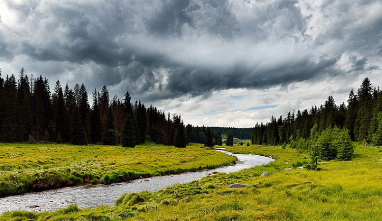 Národní pak Šumava navštívilo v létě přes 675 tisíc lidí, meziročně víc