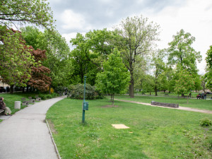Park Dukelská nyní.