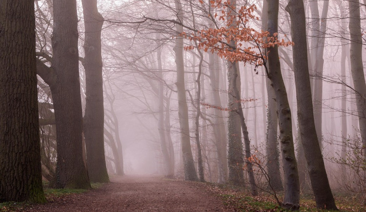 Začátek října přinese propad teplot přes den až na 10 stupňů