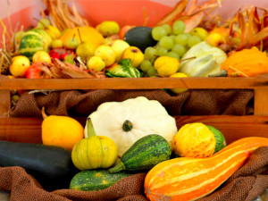 V zahradě borovanského kláštera vypuknou Hody s plody podzimu