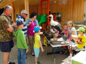 Zoo Hluboká oslaví Den zvířat, hlavním tématem bude ptactvo