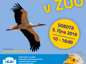 Zoo Hluboká oslaví Den zvířat, hlavním tématem bude ptactvo