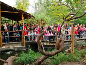Zoo Hluboká oslaví Den zvířat, hlavním tématem bude ptactvo