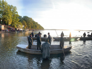 Začal výlov Rožmberka. Rybáři čekají 150 tun ryb, jako loni
