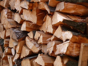 „Čoika“ se opět zaměří na kontroly při nákupu palivového dřeva, loni rozdala 24 pokut