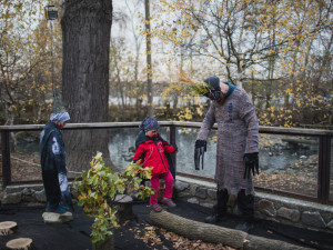 Zoo na Hluboké opět ovládnou strašidla