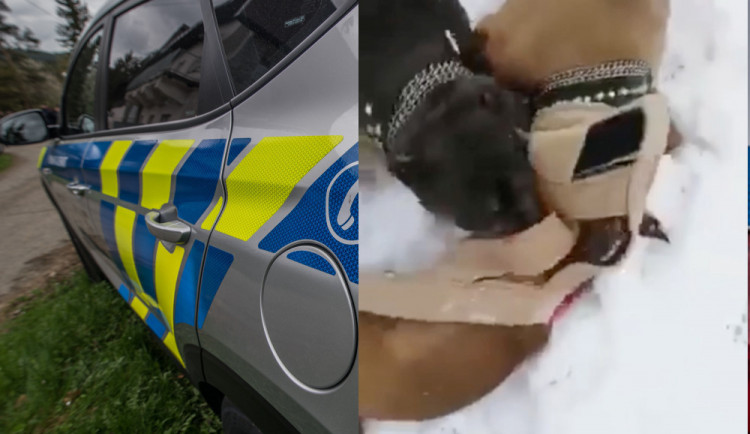VIDEO: Policie prošetřuje možné týrání psa, video měla natočit sama majitelka