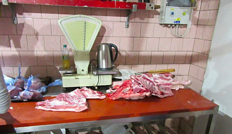 Veterináři zjistili v jižních Čechách nelegální porážení prasat