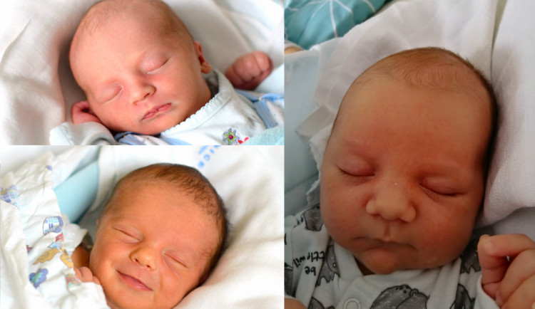 Snímek obrazovky 2019-11-05 v 10.01.30