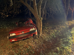 K tragické dopravní nehodě došlo dnes večer u obce Olešná na Písecku. Osmačtyřicetiletý řidič dostal na mírně namrzlé silnici pravděpodobně smyk a narazil do stromu. Svým zraněním bohužel na místě podlehl.
