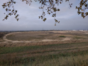 Z bývalého odkaliště na Srubci bude po skončení rekultivace lesopark