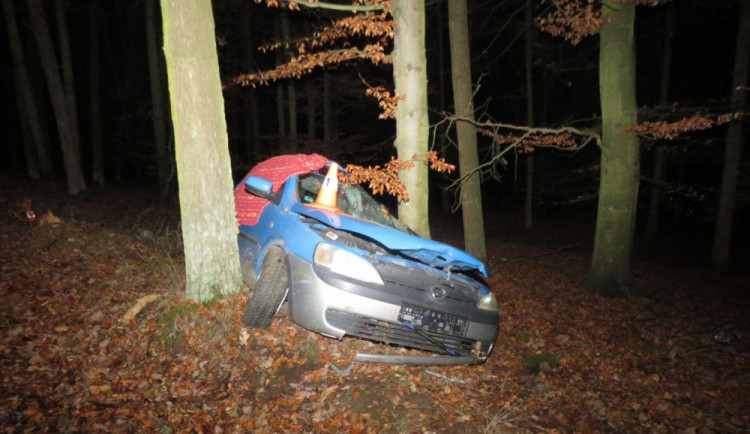 Jednadvacetiletý řidič se stal jednašedesátou obětí dopravních nehod na jihu Čech.