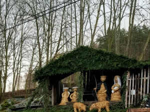 Advent začíná již tuto sobotu v Zahradnictví Střítež Boškovi