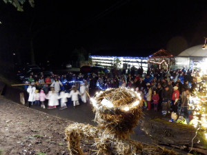 Advent začíná již tuto sobotu v Zahradnictví Střítež Boškovi