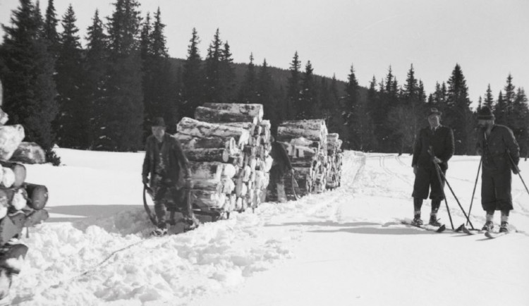 Autor: Fotoateliér Seidel