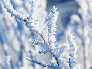 O Vánocích by letos podle meteorologů mohlo být chladno