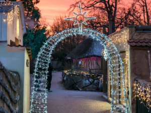 Vánočně nasvícená zoo v Hluboké letos přinese řadu novinek