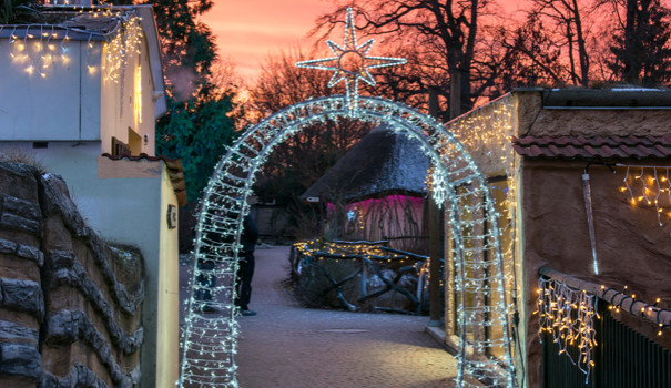 960x350 £vodn¡ foto drbna