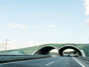 Otevření úseku dálnice D3