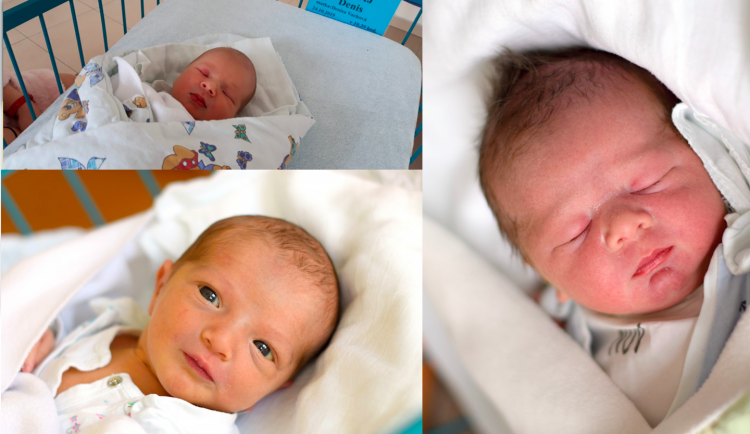 Snímek obrazovky 2019-12-16 v 8.18.34