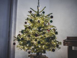 SOUTĚŽ: Vánoce jsou tady. Ukaž stromek a vyhraj ceny od Drbny