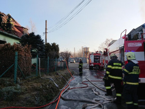 05ba0844-fd1f-405c-9aa0-9e50155cd411