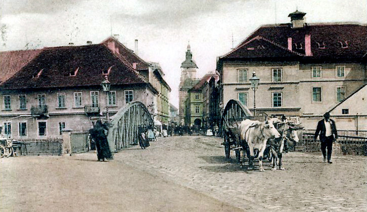 DRBNA HISTORIČKA: Domácí zvířata za první republiky