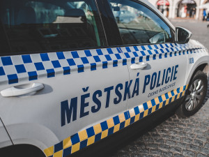 Podnapilé mladíky museli z autobusu vyprovodit až přivolaní strážníci